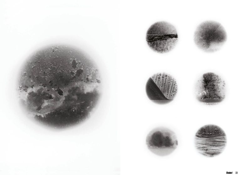 Planches Flora Fanzutti2