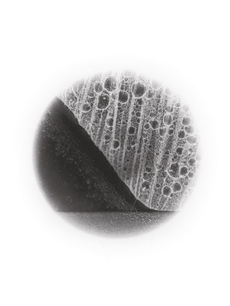 ScanVEDUTEbook0012-copie